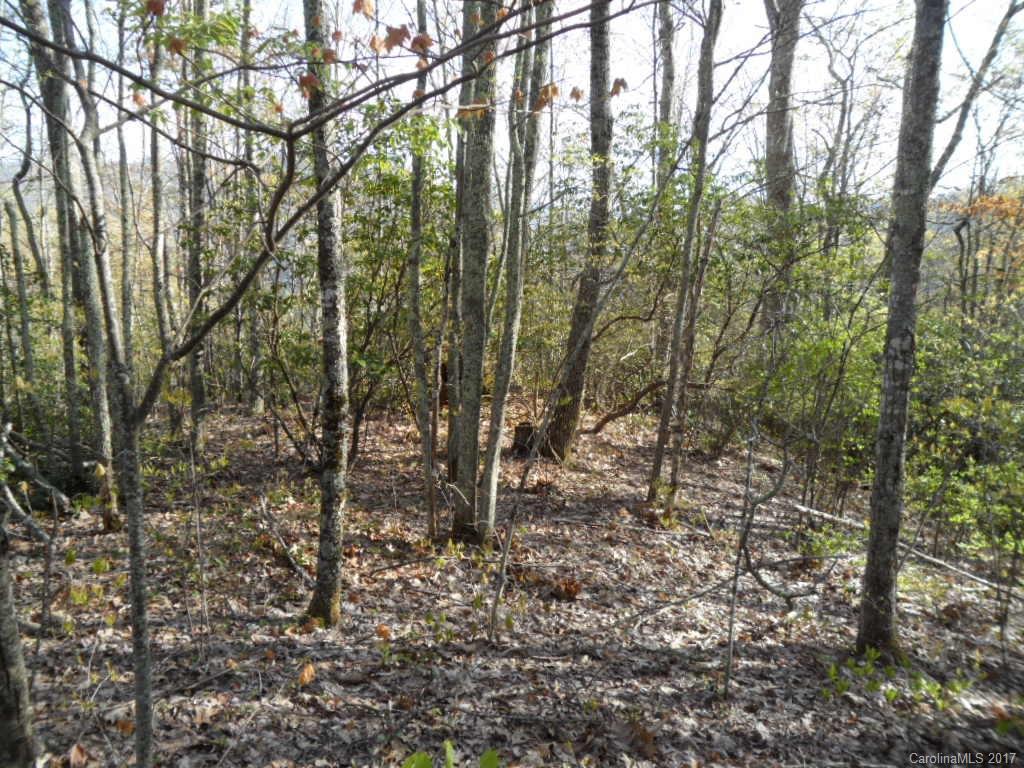 3.1-acres On Brown Ridge Road Maggie Valley, NC 28751 - Photo 7 of 21