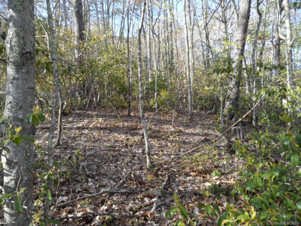 3.1-acres On Brown Ridge Road Maggie Valley, NC 28751 - Photo 8 of 21