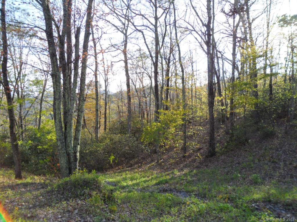 3.1-acres On Brown Ridge Road Maggie Valley, NC 28751 - Photo 9 of 21