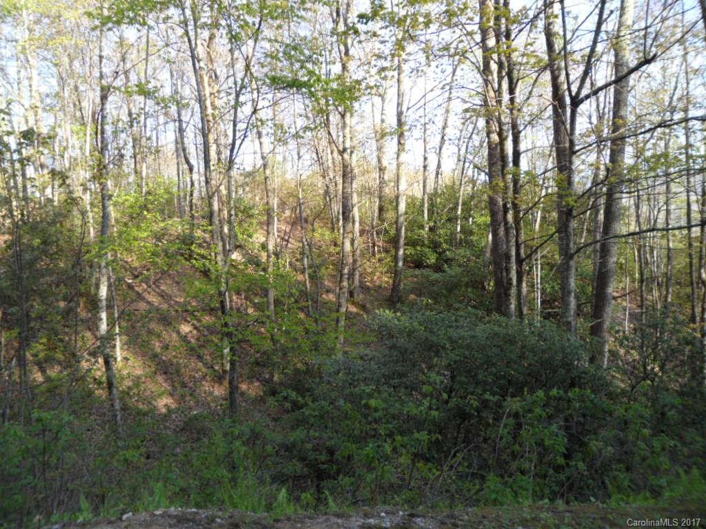 3.1-acres On Brown Ridge Road Maggie Valley, NC 28751 - Photo 10 of 21