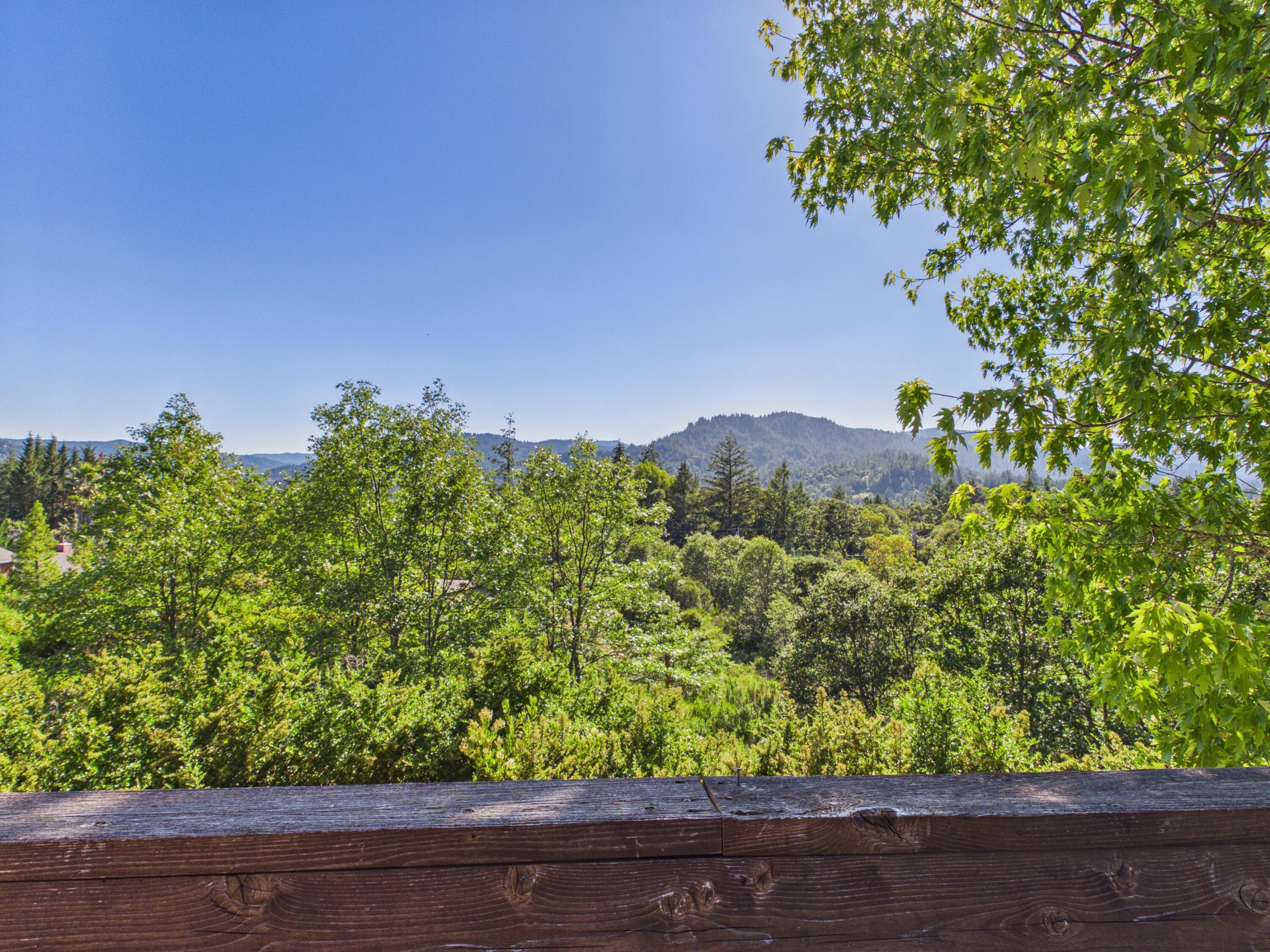 133 Arthur Road Garberville, CA 95542 - Photo 3 of 60