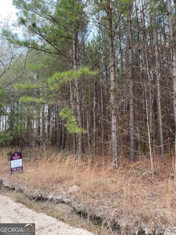 $99,900 | 0 Buie Driggers Road, Brooklet, GA 30415