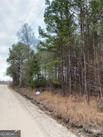 $99,900 | 0 Buie Driggers Road, Brooklet, GA 30415