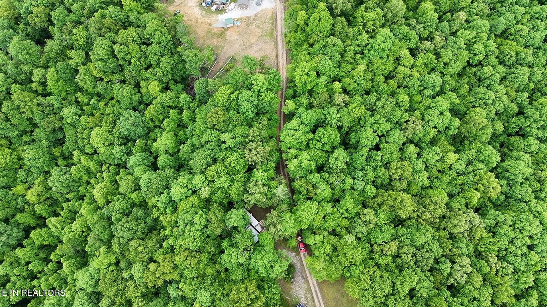 0 Sheep Ranch Road Robbins, TN 37852 - Photo 6 of 29 11srd