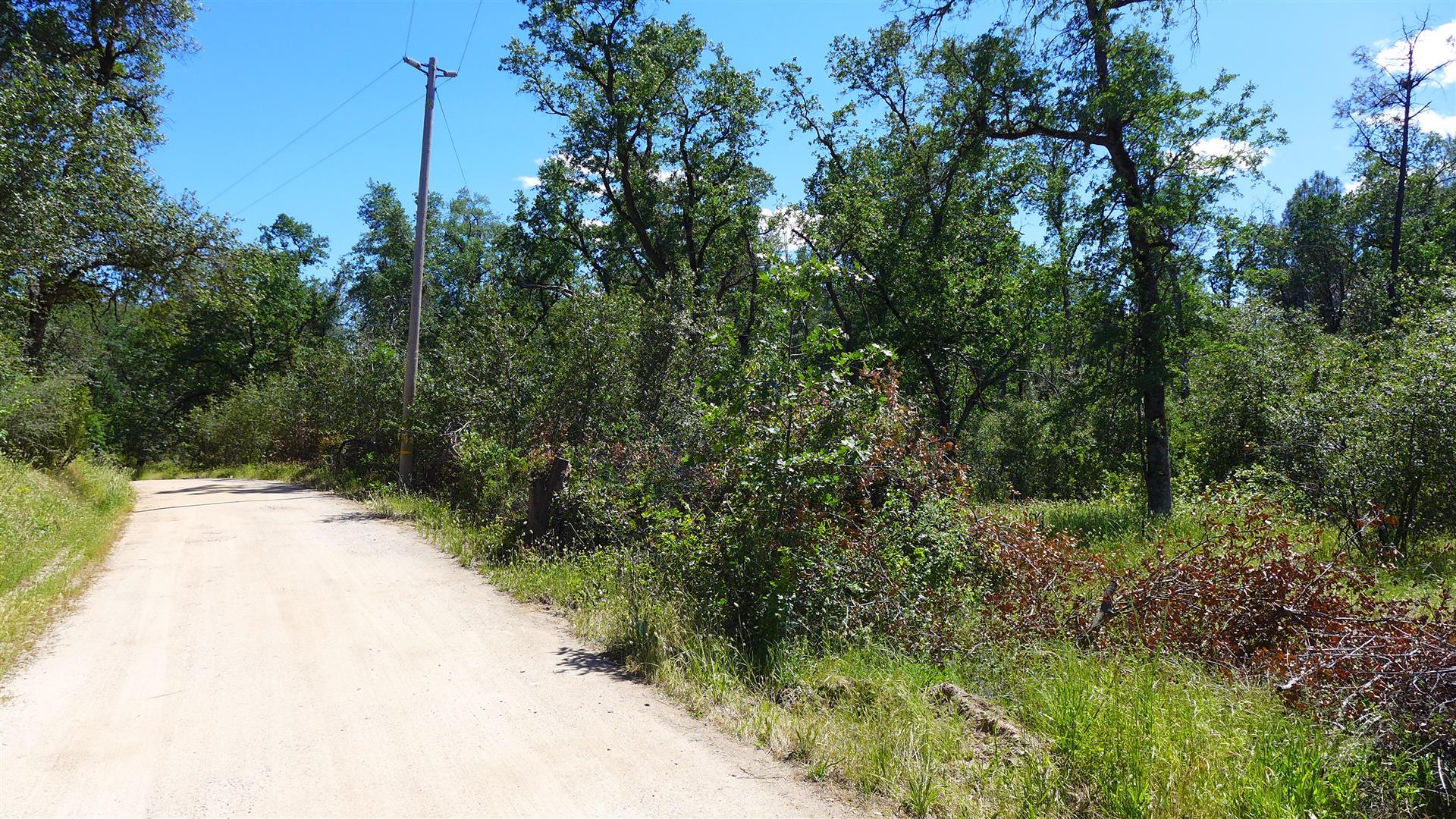 10-ac Rector Creek Road Igo, CA 96047 - Photo 5 of 19 a view of a yard with plants and a trees
