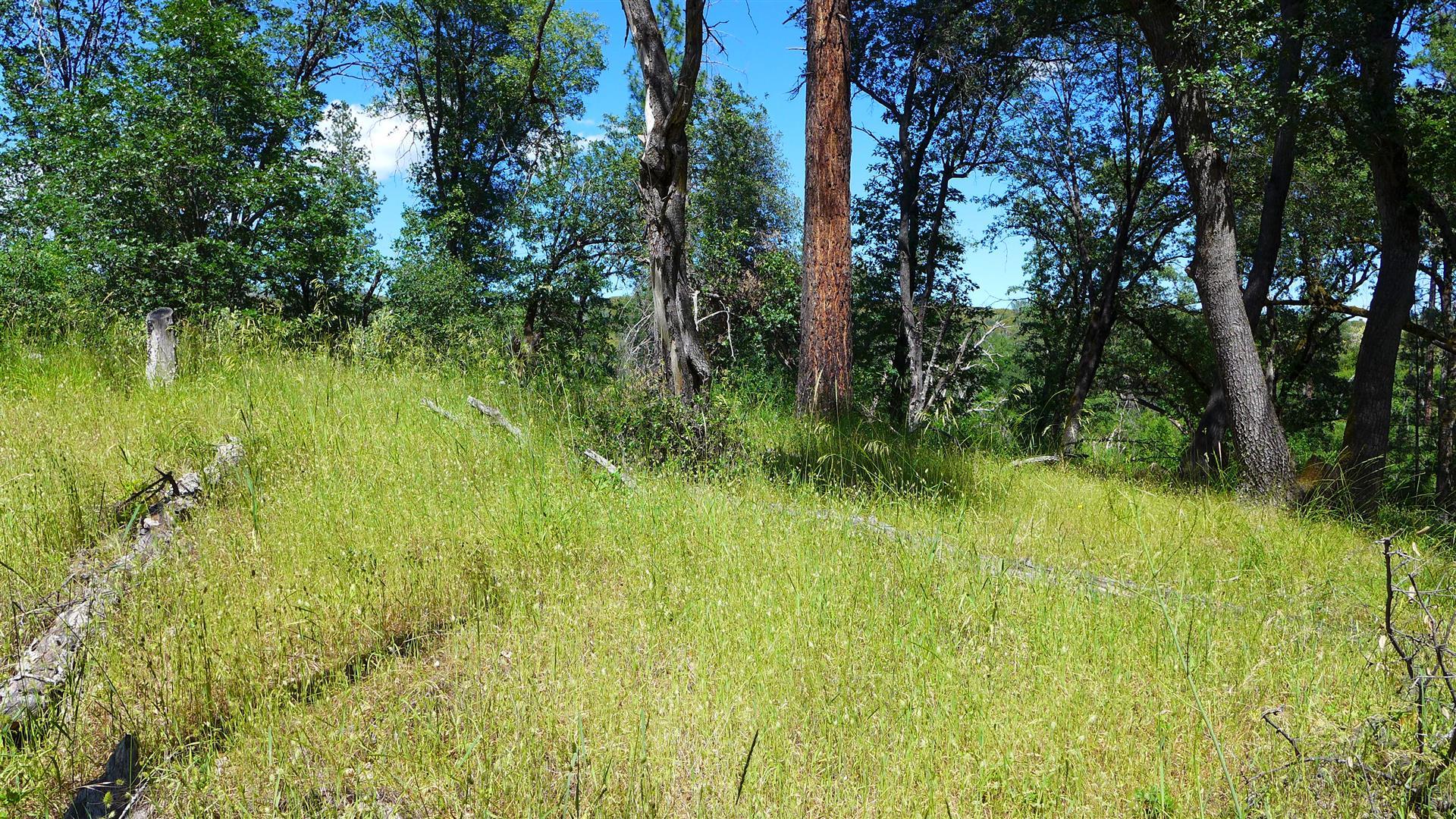 10-ac Rector Creek Road Igo, CA 96047 - Photo 6 of 19 a view of a garden