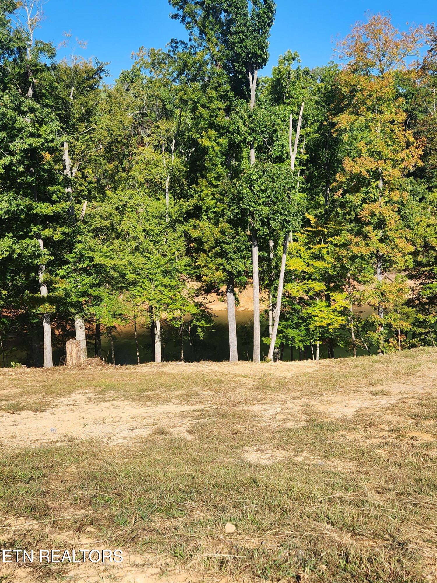 Lot 36 Bridgewater Pointe Boulevard Morristown, TN 37814 - Photo 11 of 15 morris16