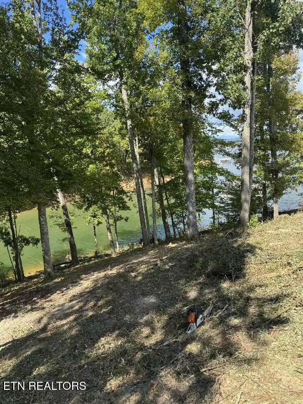 Lot 36 Bridgewater Pointe Boulevard Morristown, TN 37814 - Photo 2 of 12 morris3