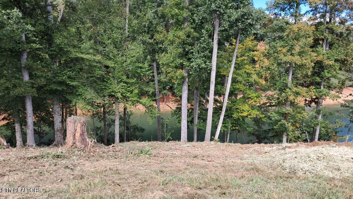 Lot 36 Bridgewater Pointe Boulevard Morristown, TN 37814 - Photo 6 of 15 morris5
