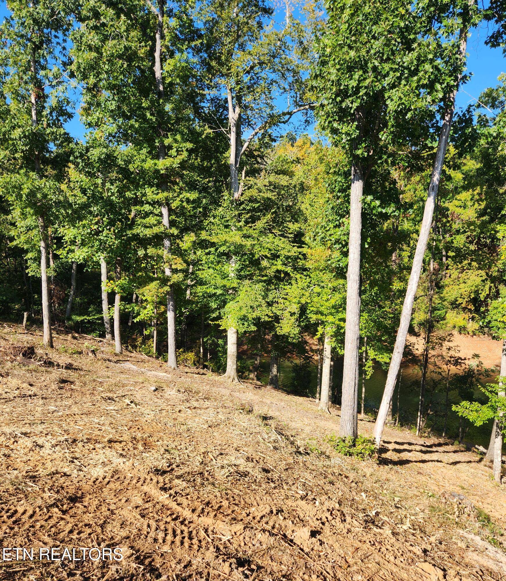 Lot 36 Bridgewater Pointe Boulevard Morristown, TN 37814 - Photo 9 of 15 morris11