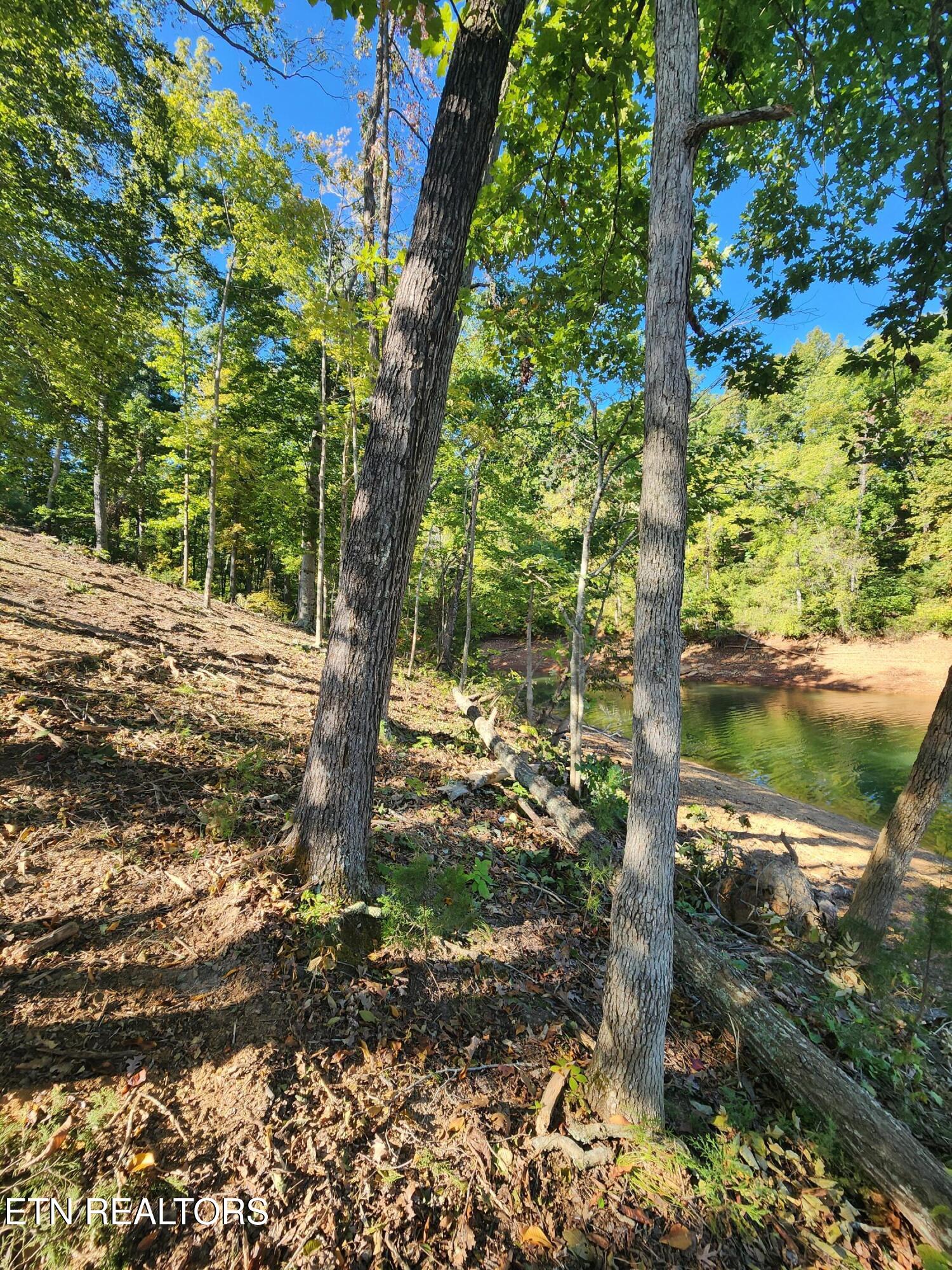 Lot 36 Bridgewater Pointe Boulevard Morristown, TN 37814 - Photo 10 of 12 morris18