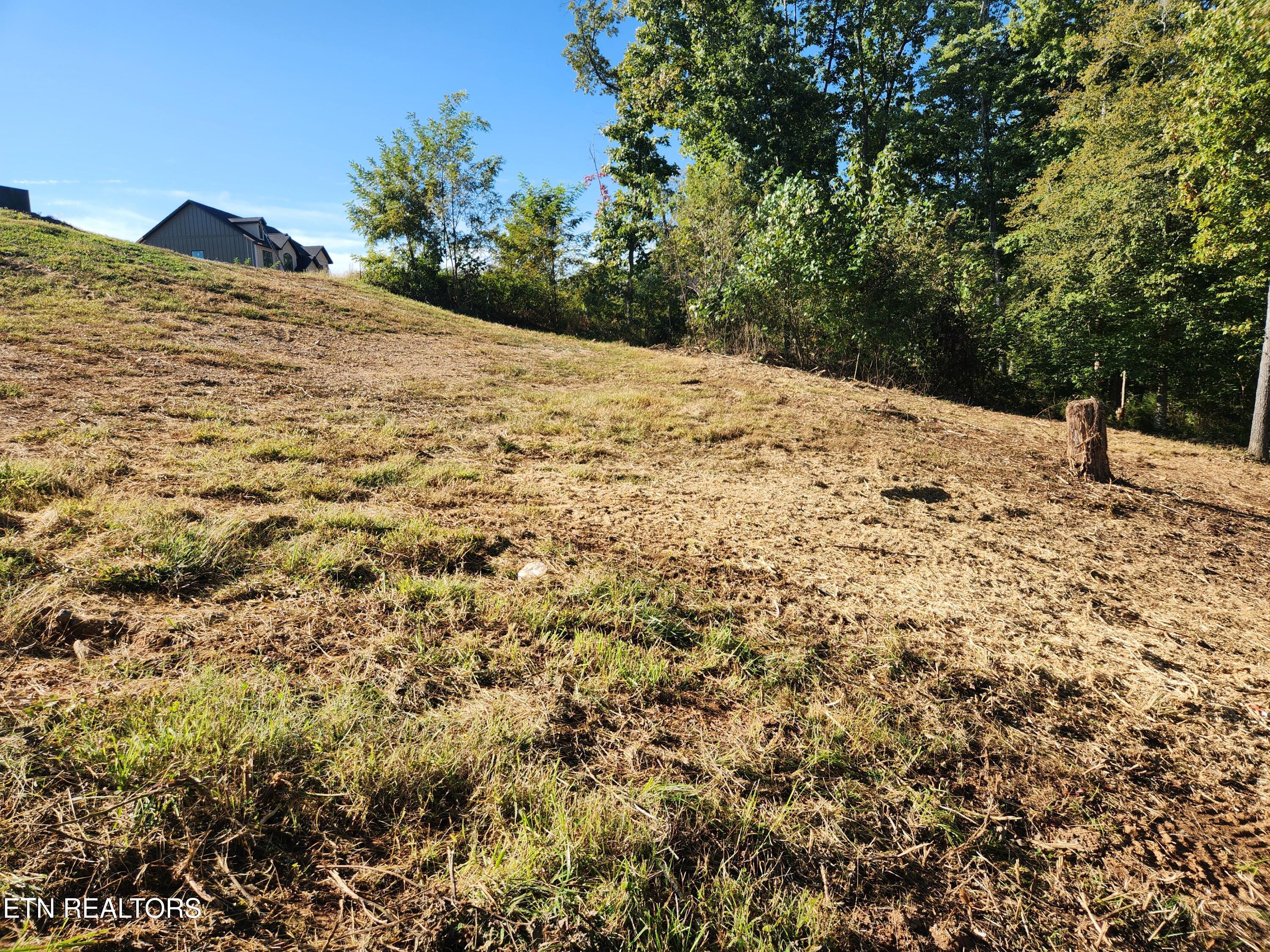 Lot 36 Bridgewater Pointe Boulevard Morristown, TN 37814 - Photo 10 of 15 morris12