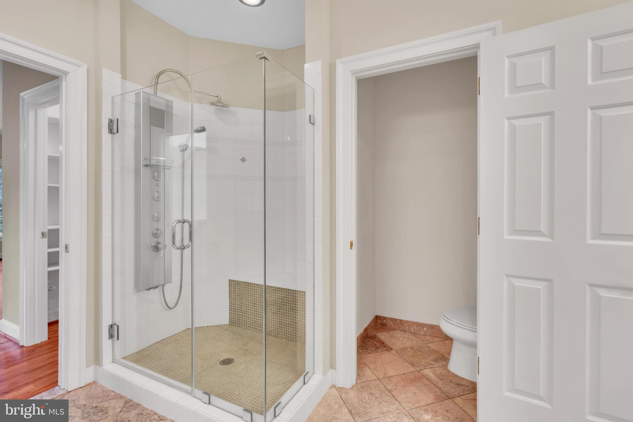 190 Falcon Ridge Road Great Falls, VA 22066 - Photo 32 of 74 Master Bath with Frameless Shower & Chrome System