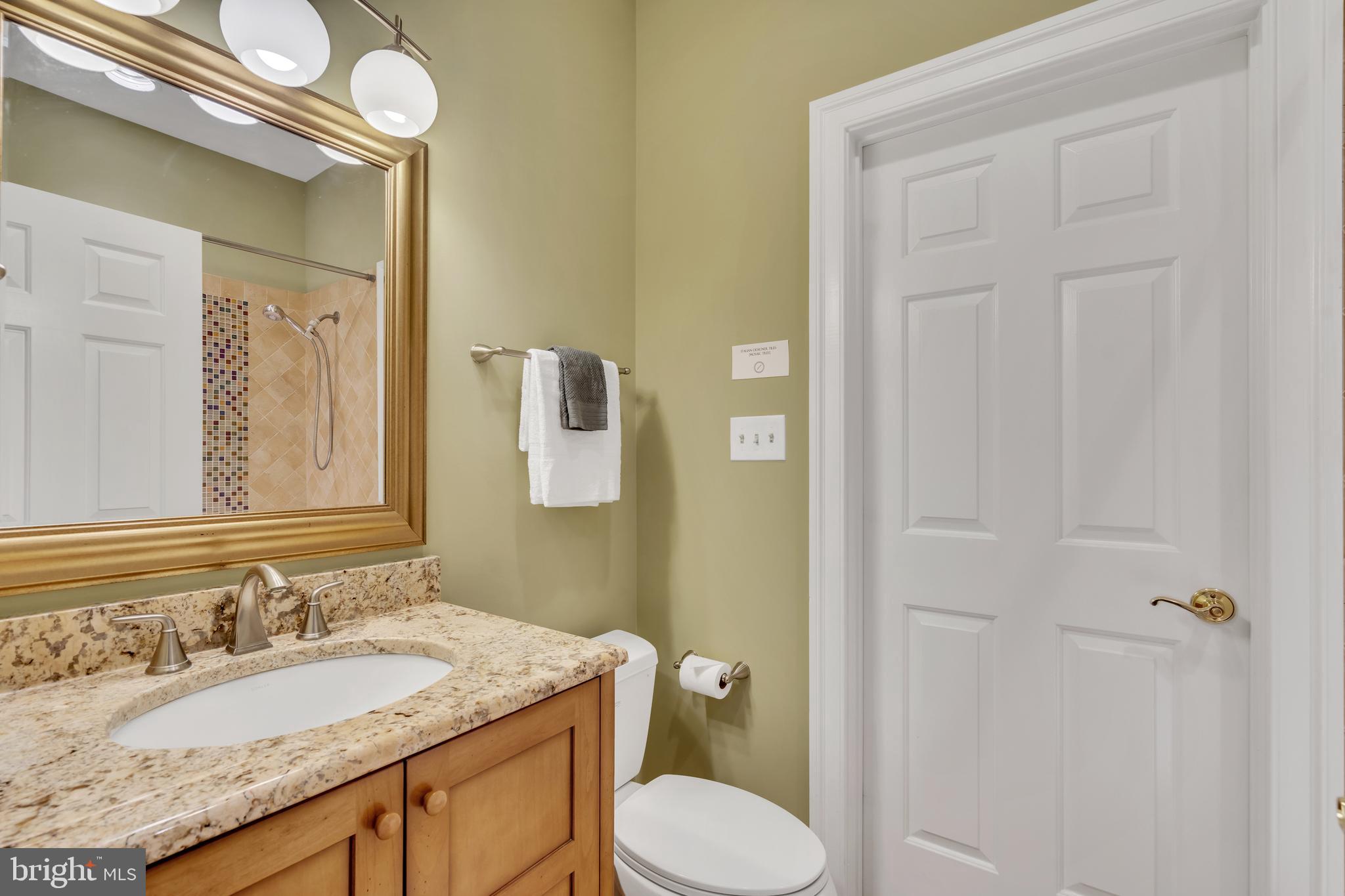 190 Falcon Ridge Road Great Falls, VA 22066 - Photo 37 of 74 Bathroom #3 // Jack&Jill w/ Custom Italian Tiles