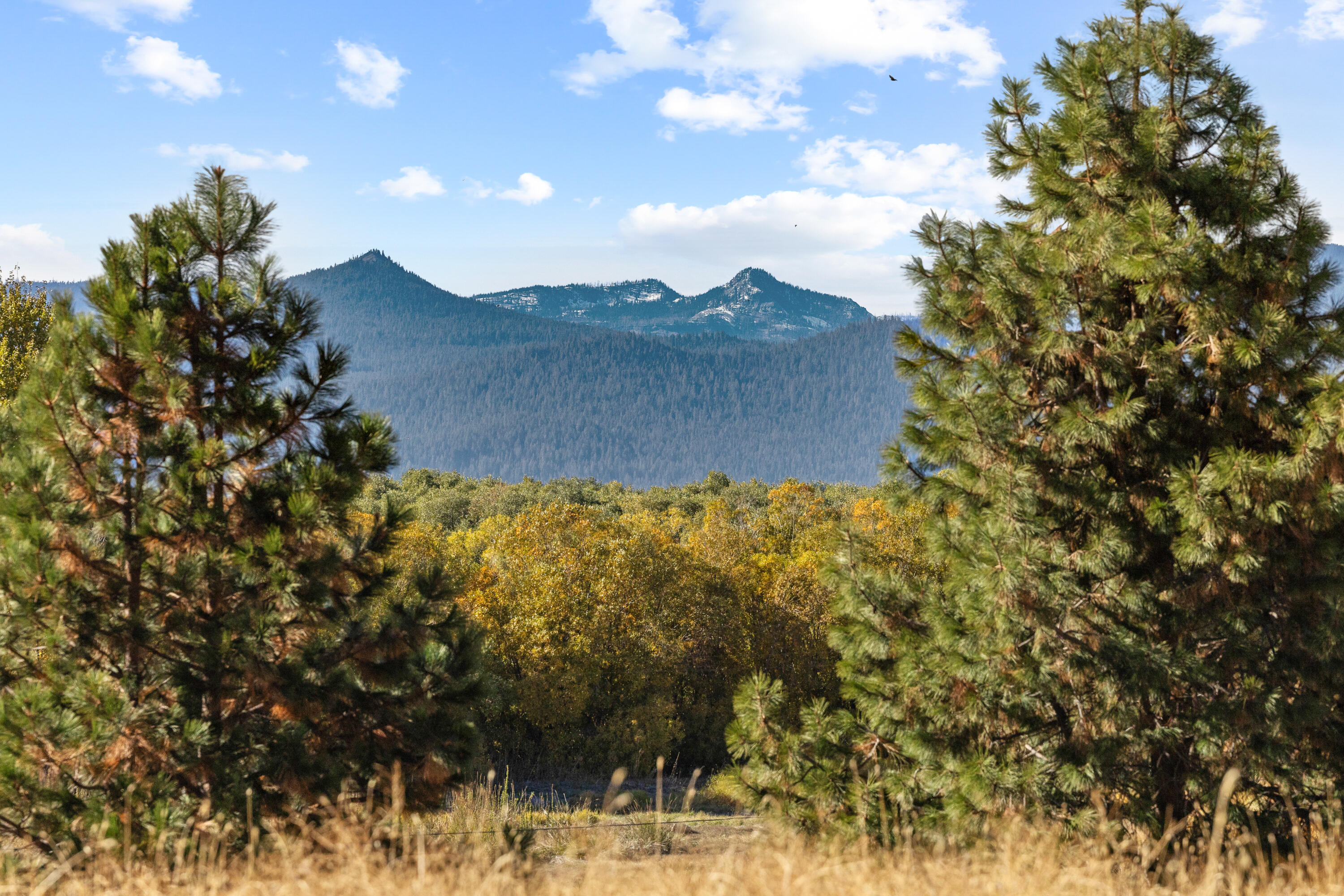 32486 Modoc Point Road Chiloquin, OR 97624 - Photo 104 of 135 32490 Modoc Point Rd-104