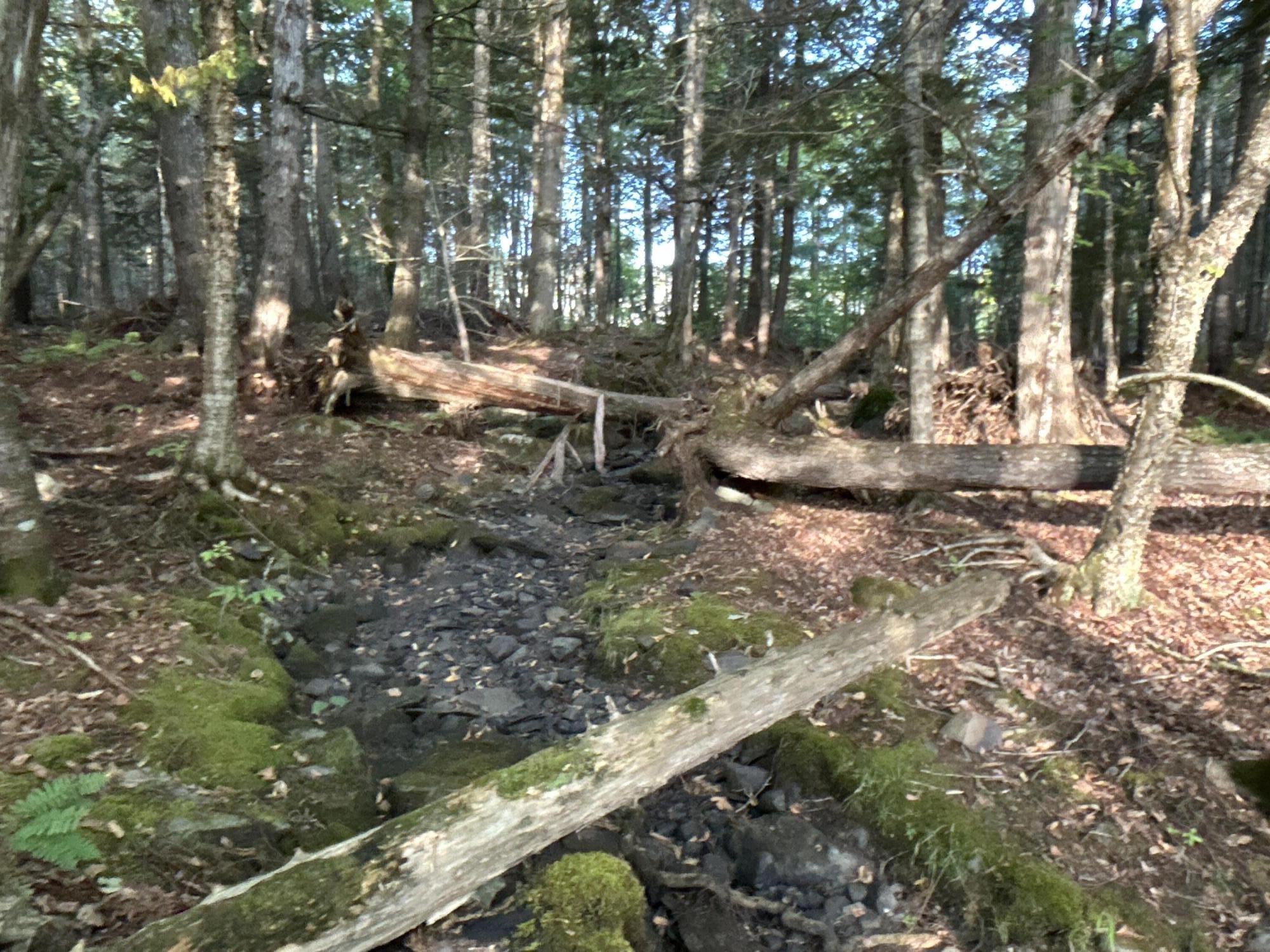 M4-l14 Village Road Jackson, ME 04921 - Photo 36 of 37