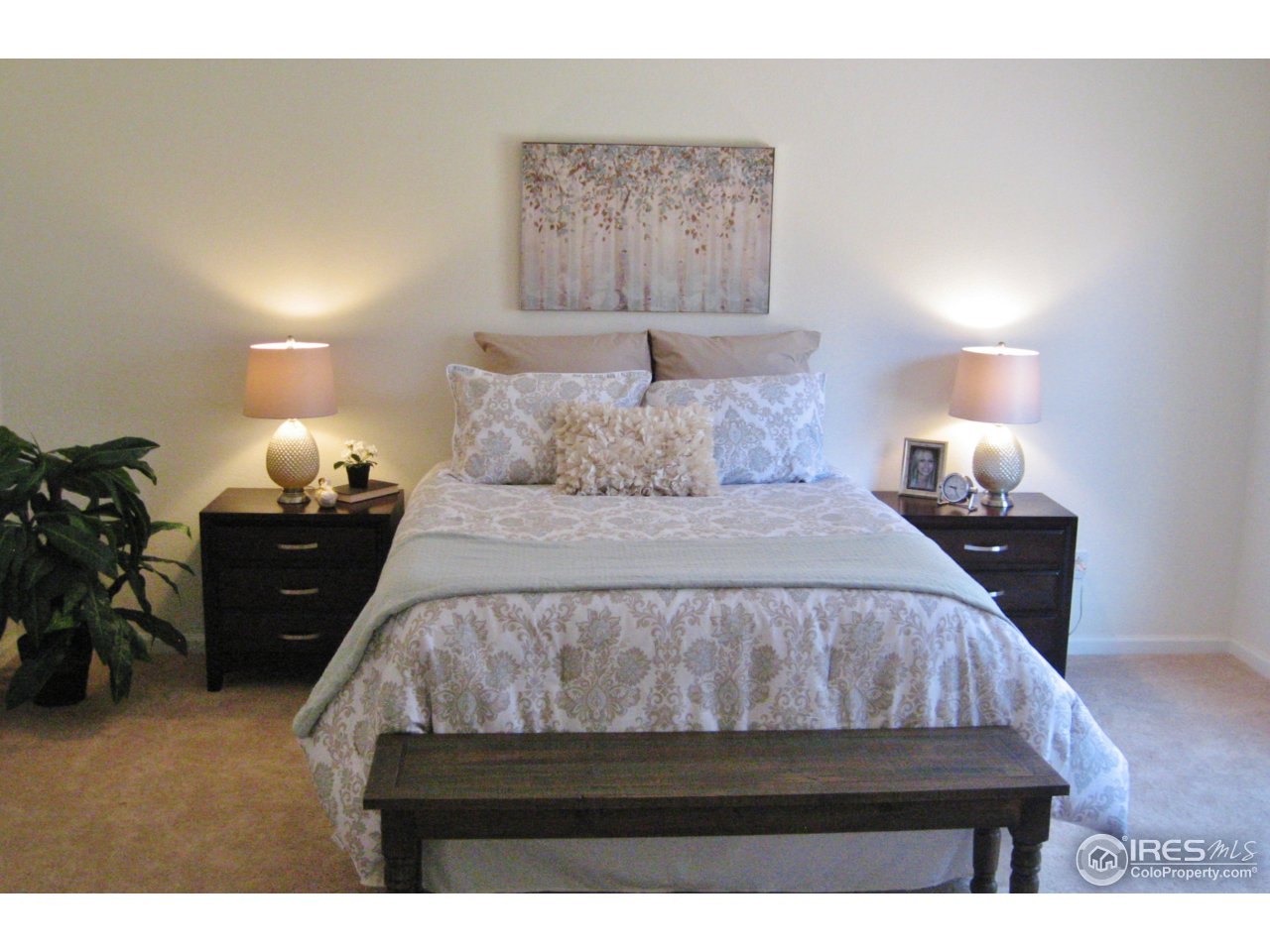 724 Rider Ridge Drive Longmont, CO 80504 - Photo 10 of 16 Master Bedroom