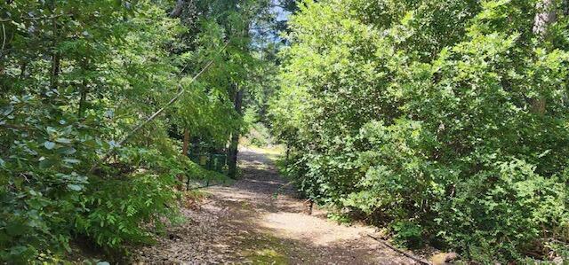 0 French Road Miranda, CA 95553 - Photo 17 of 19