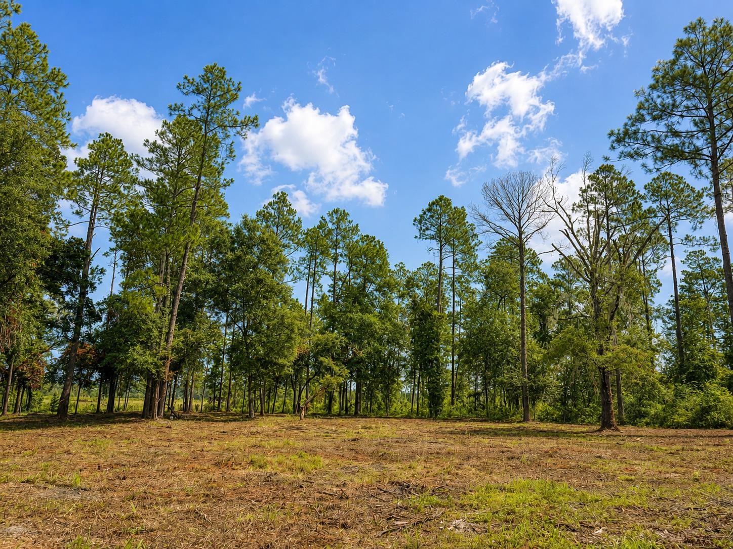 0 Walker Springs Road Monticello, FL 32344 - Photo 1 of 21 Gallery Image 1
