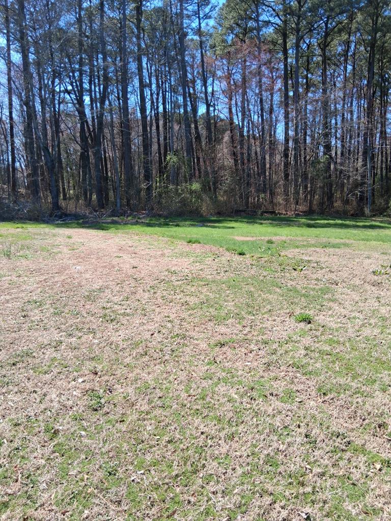 24008 Bennett Street Parksley, VA 23421 - Photo 3 of 33
