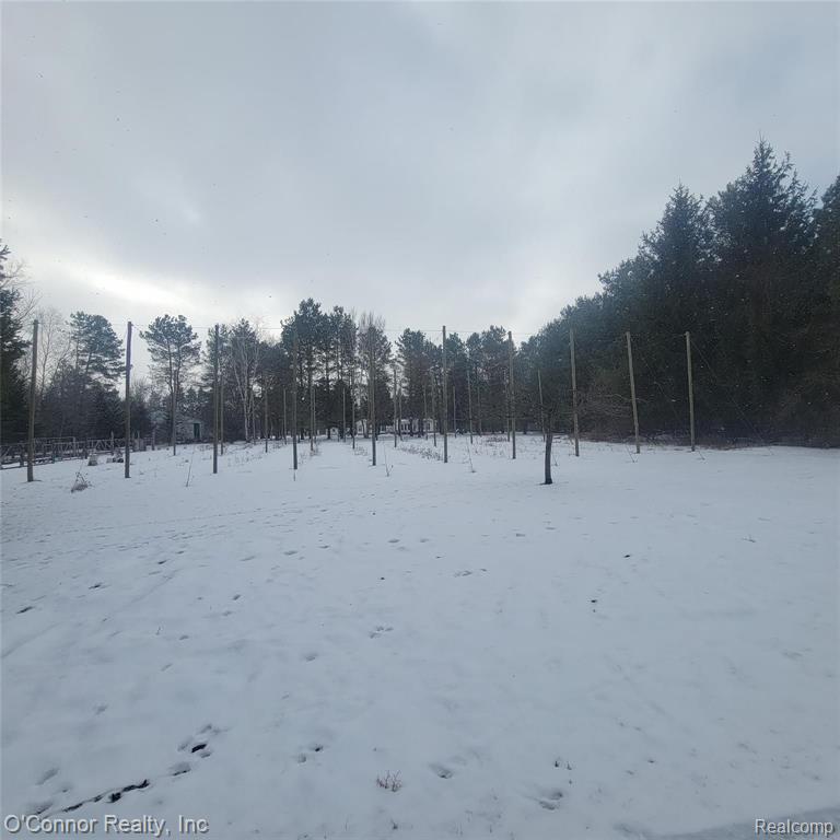 2845 Burr Road Applegate, MI 48401 - Photo 47 of 53