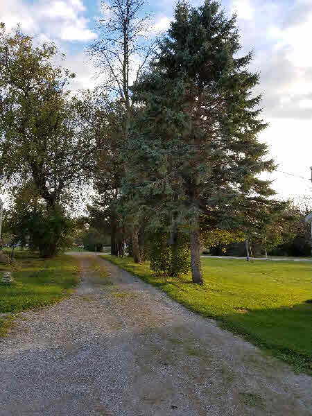 696 West Beaver Road Auburn, MI 48611 - Photo 14 of 17