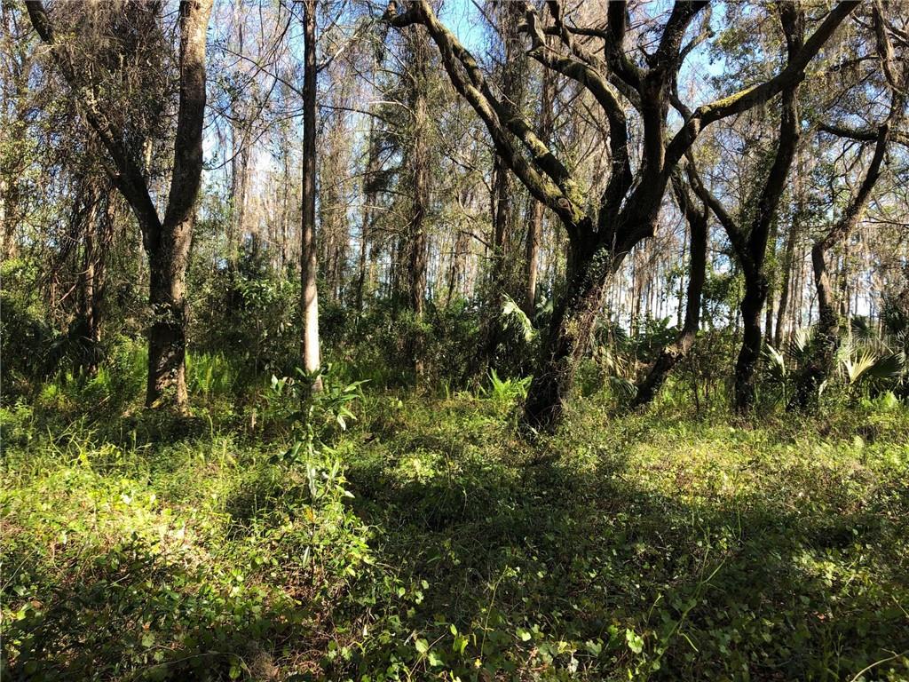 4449 West Dunnellon Road Dunnellon, FL 34433 - Photo 1 of 1 Gallery Image 1