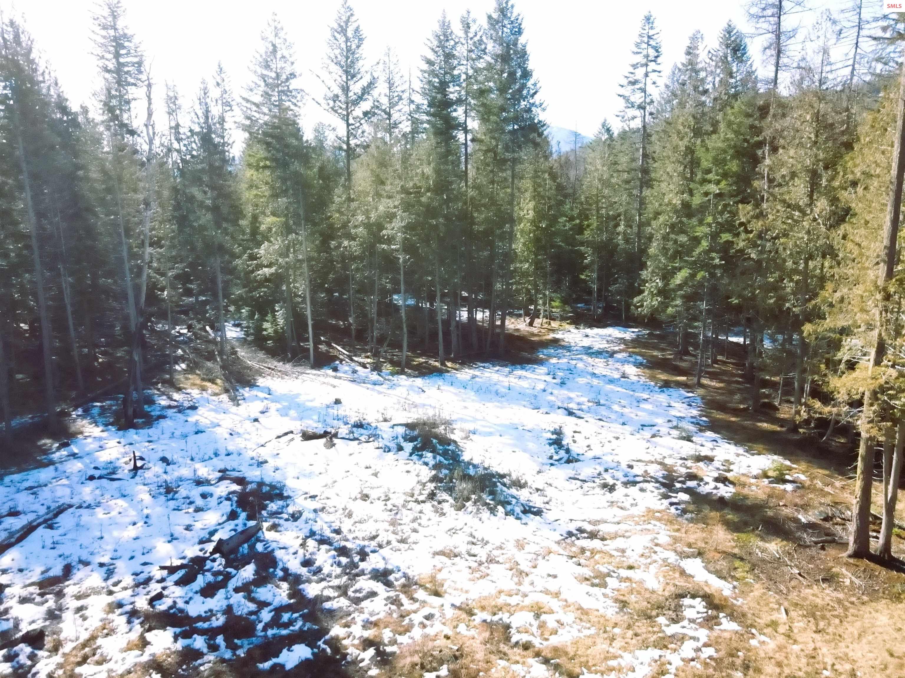 Nna East Spring Creek Road Clark Fork, ID 83811 - Photo 11 of 12