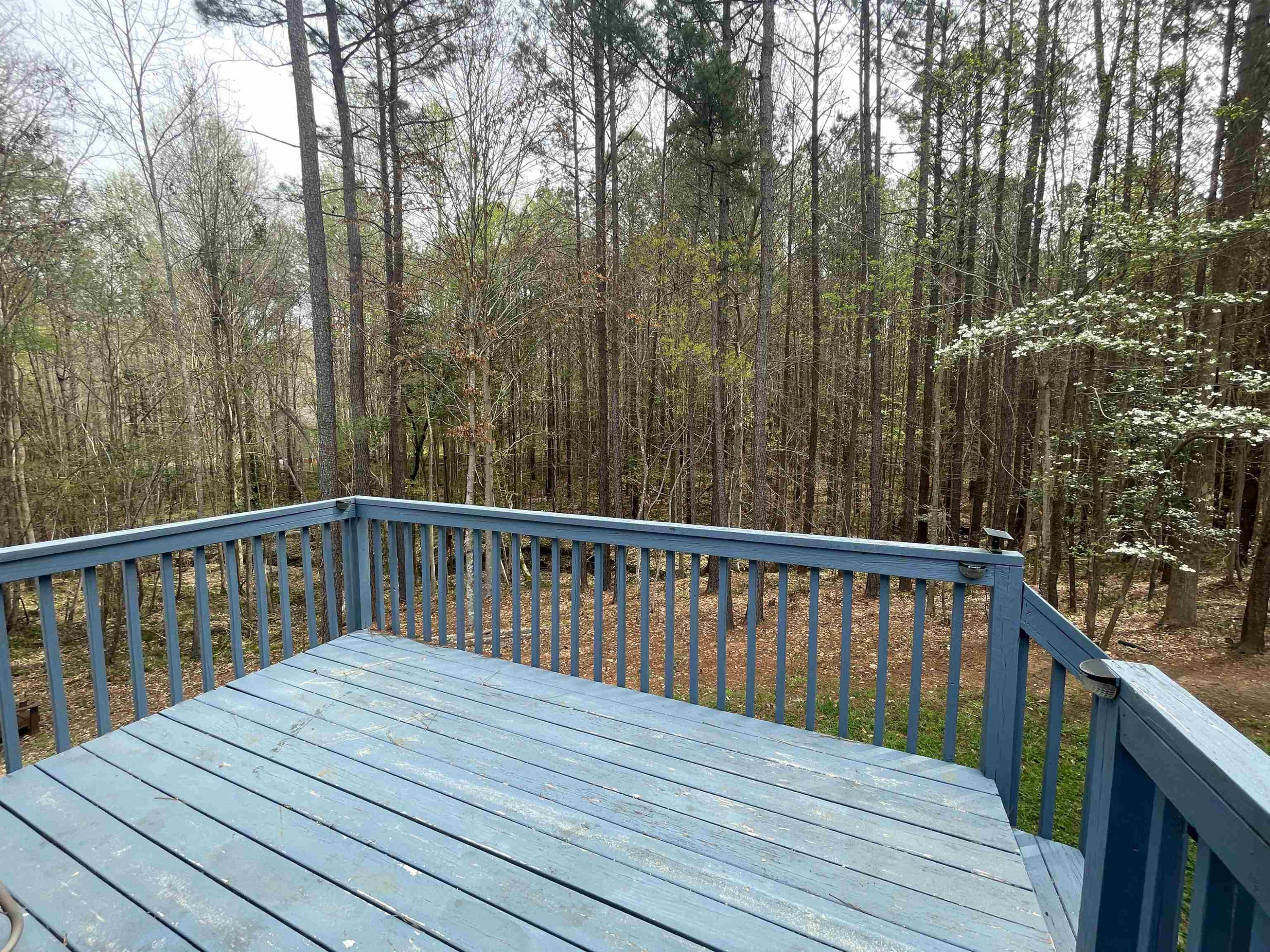 6105 Ruddington Court Willow Spring, NC 27592 - Photo 12 of 18 Private deck