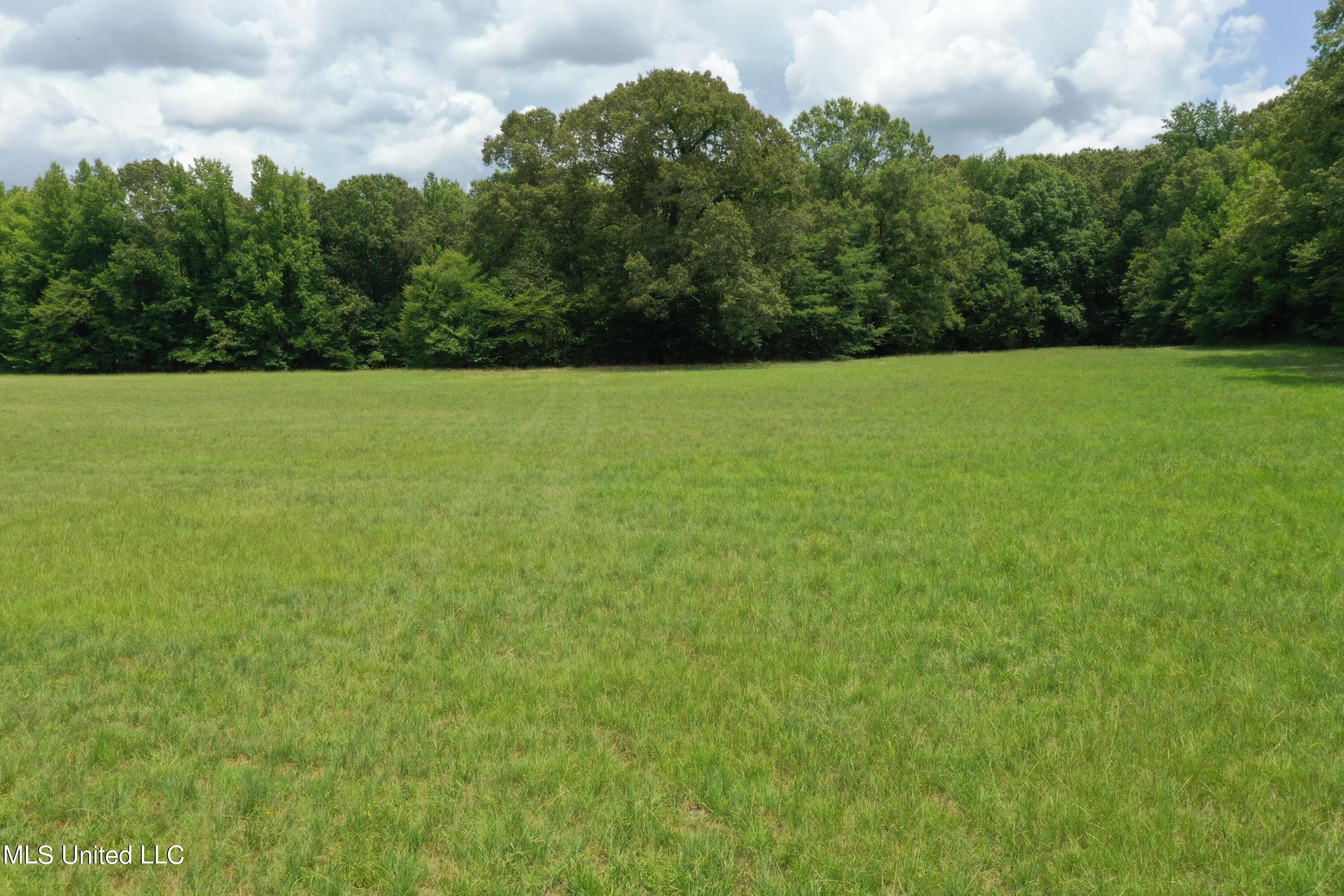 6 Victoria Road Holly Springs, MS 38635 - Photo 14 of 57 DJI_0741