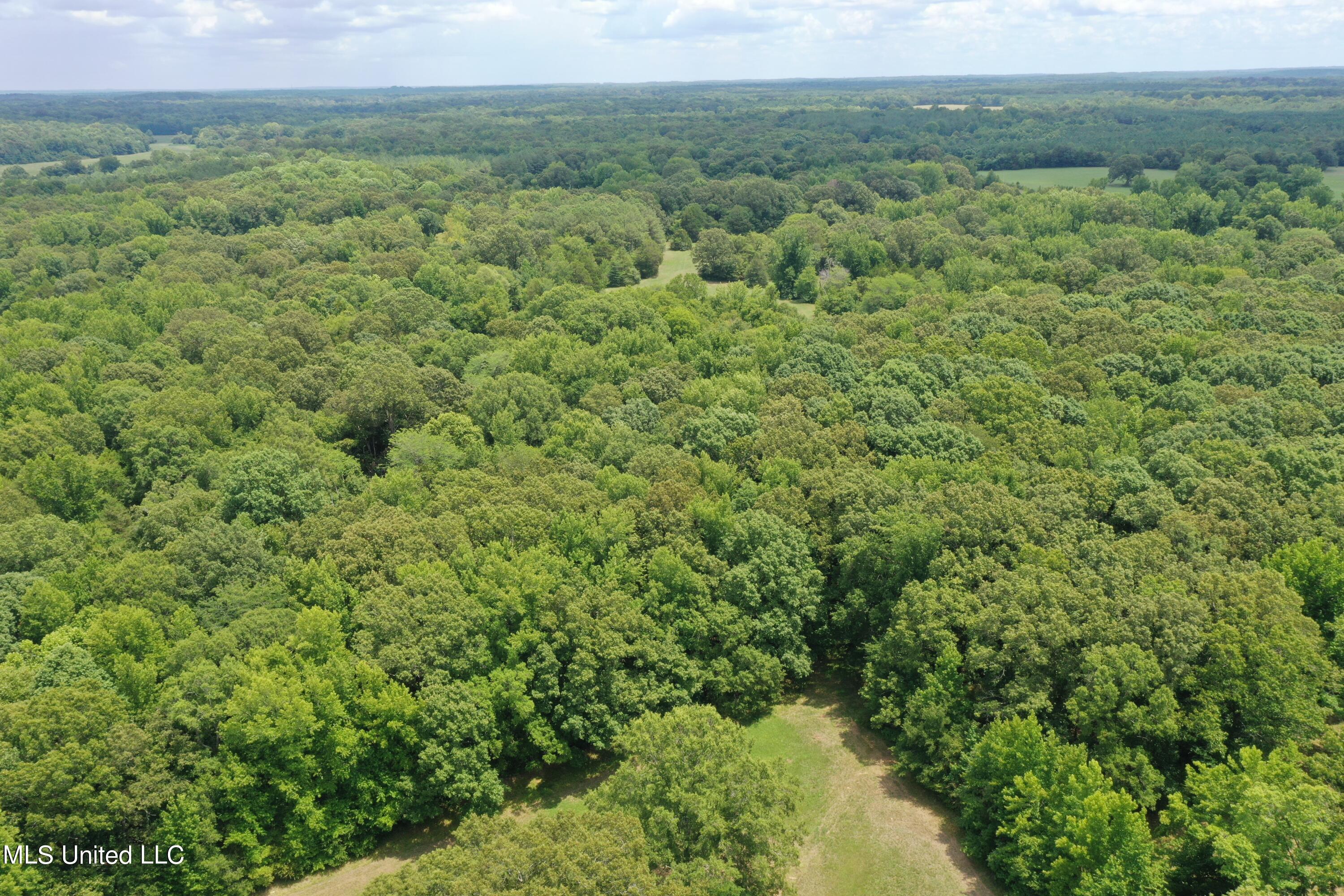 6 Victoria Road Holly Springs, MS 38635 - Photo 16 of 57 DJI_0743