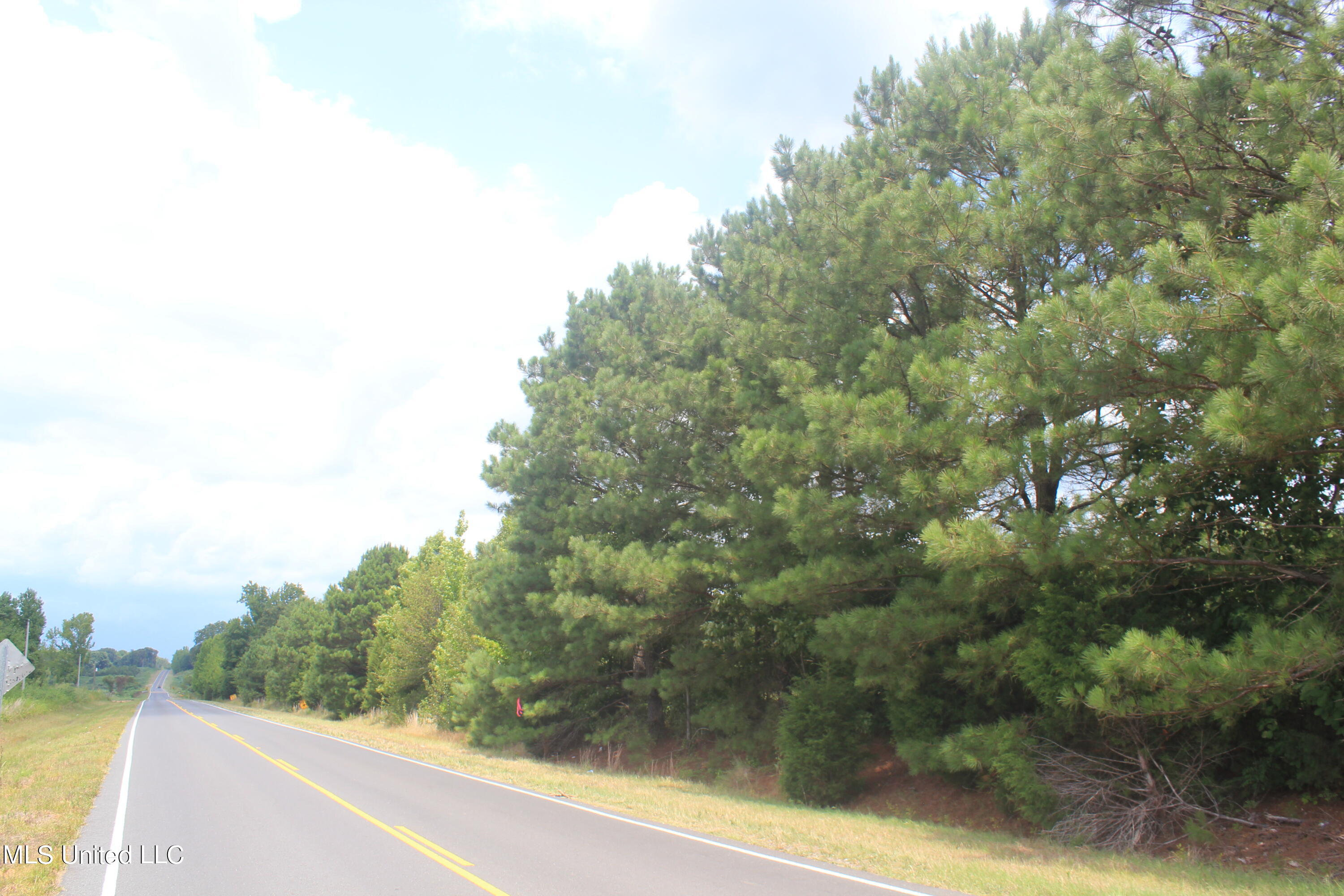 6 Victoria Road Holly Springs, MS 38635 - Photo 17 of 57 IMG_8774
