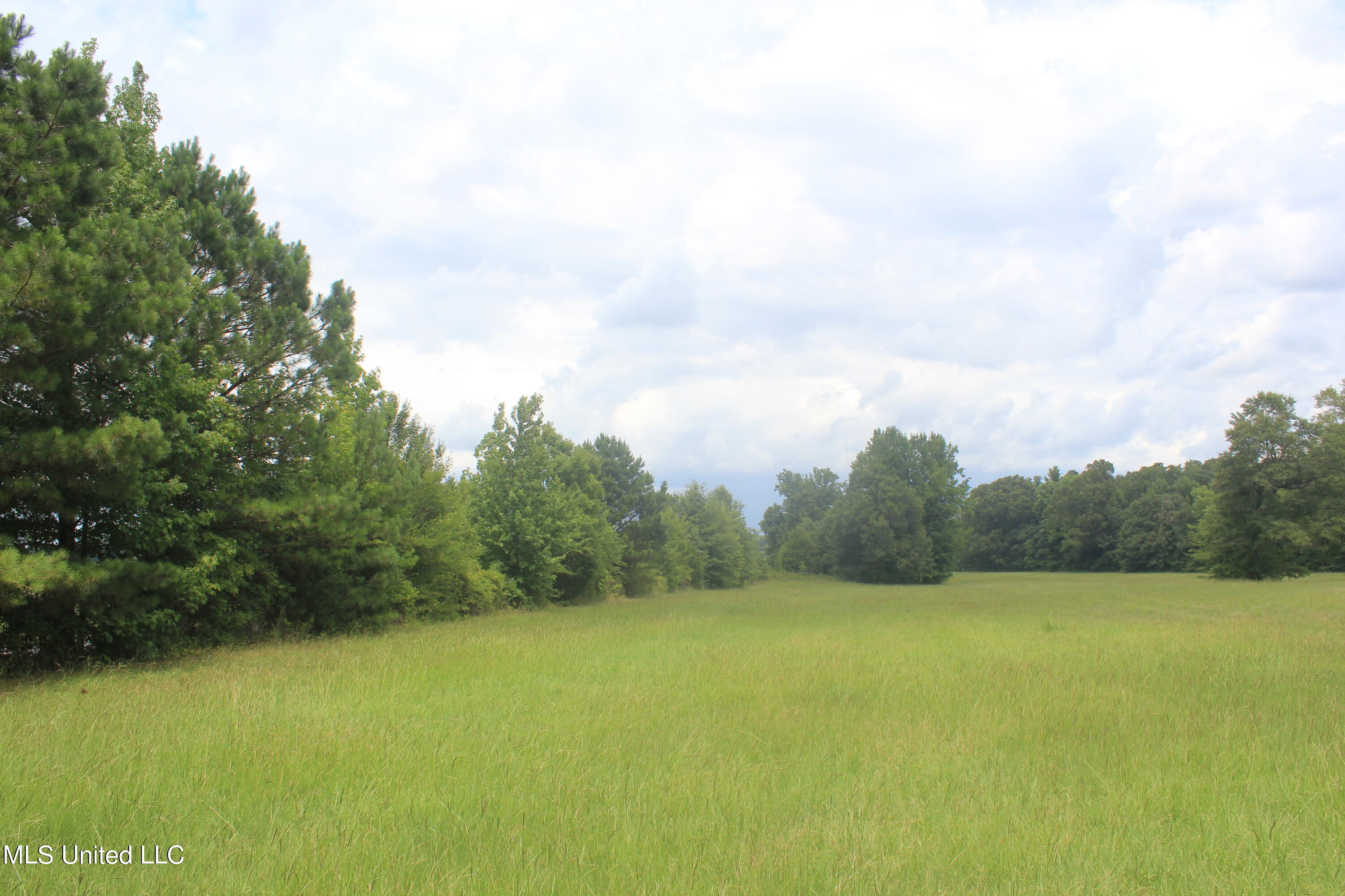 6 Victoria Road Holly Springs, MS 38635 - Photo 21 of 57 IMG_8778