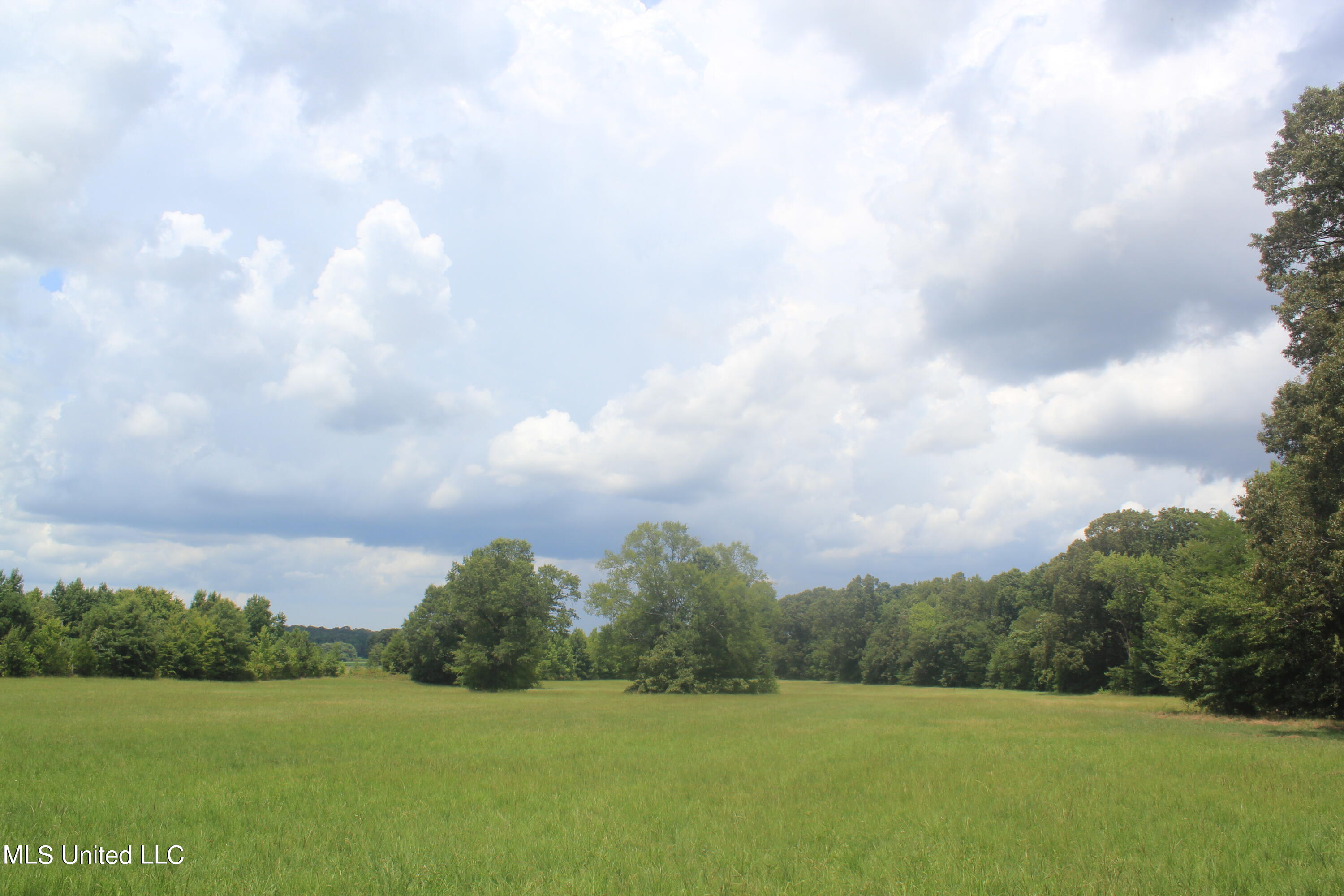 6 Victoria Road Holly Springs, MS 38635 - Photo 24 of 57 IMG_8781