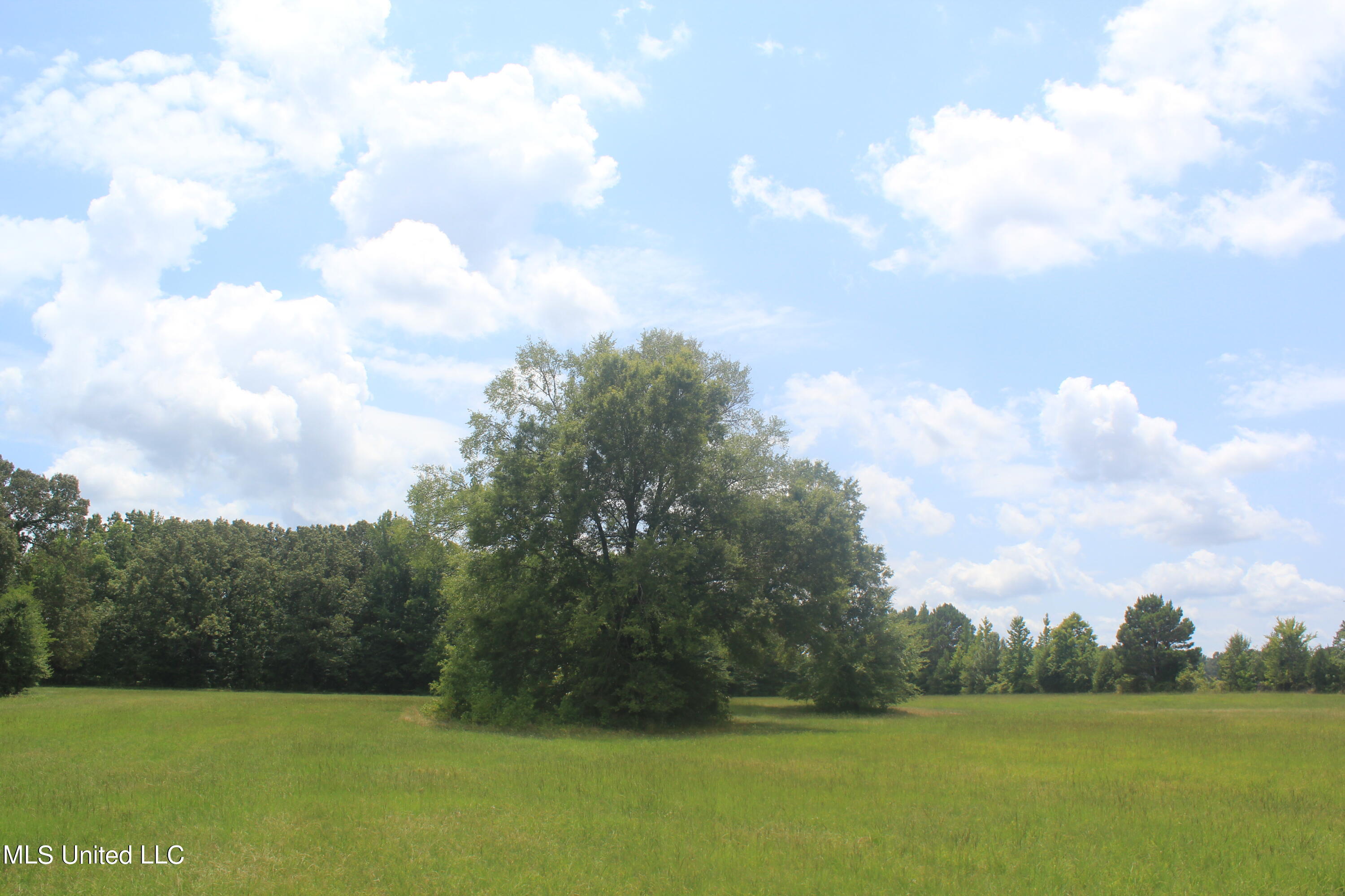 6 Victoria Road Holly Springs, MS 38635 - Photo 29 of 57 IMG_8786