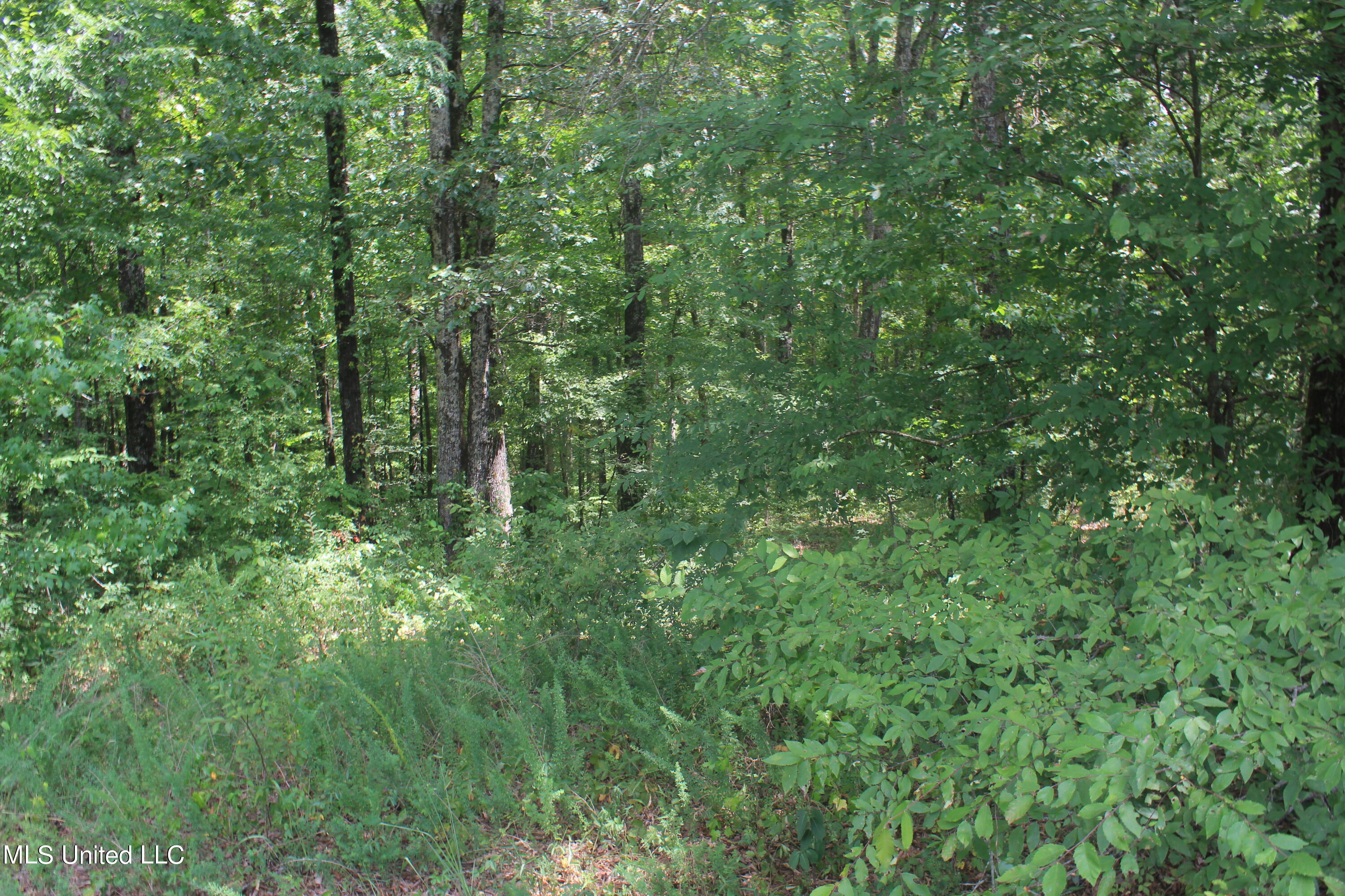 6 Victoria Road Holly Springs, MS 38635 - Photo 41 of 57 IMG_8798