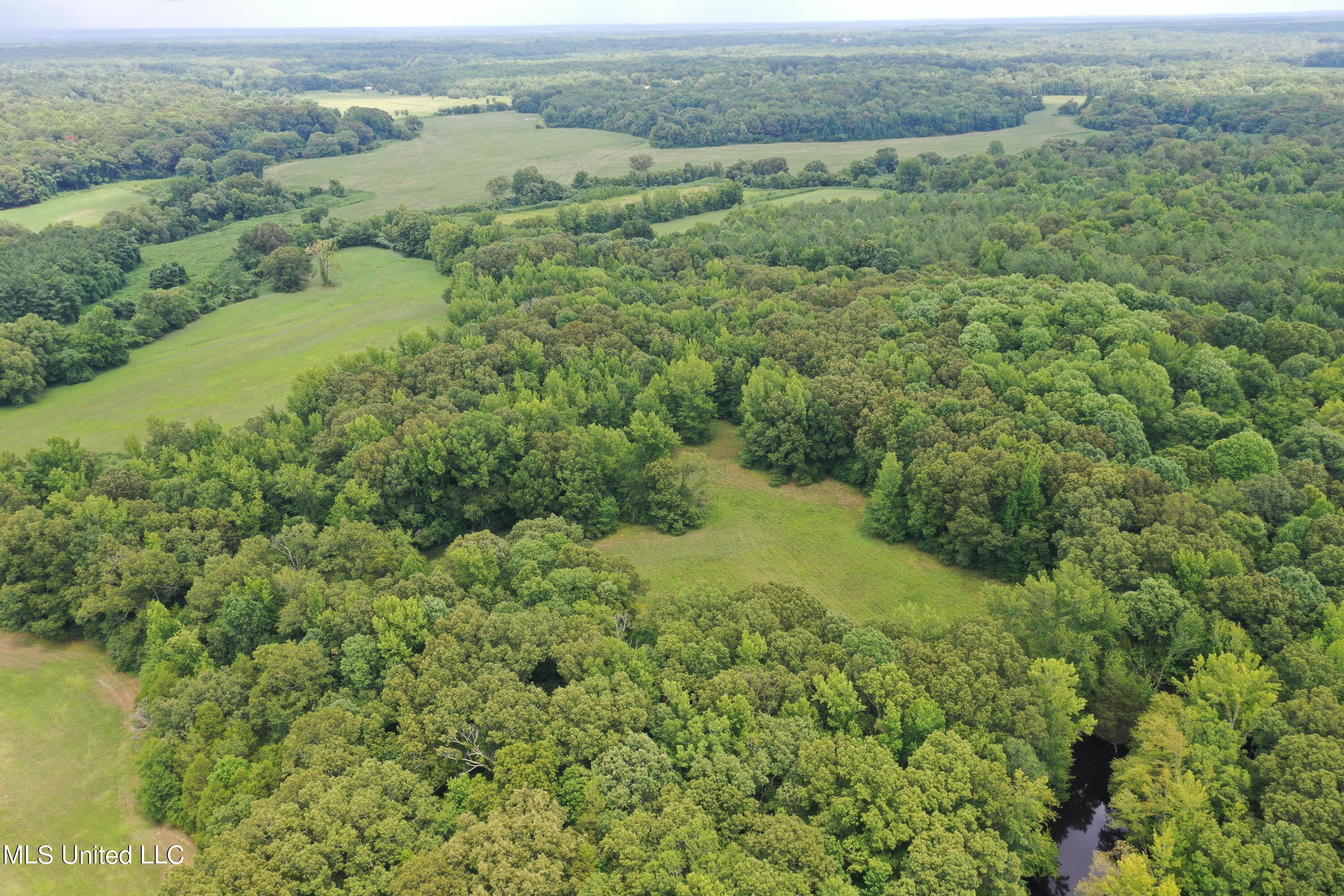 6 Victoria Road Holly Springs, MS 38635 - Photo 9 of 57 DJI_0736