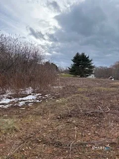 a view of a yard with trees