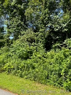a view of a dry yard with trees