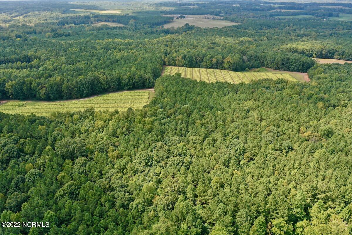 0 Peter Stallings Road Macon, NC 27551 - Photo 19 of 50 DJI_0866