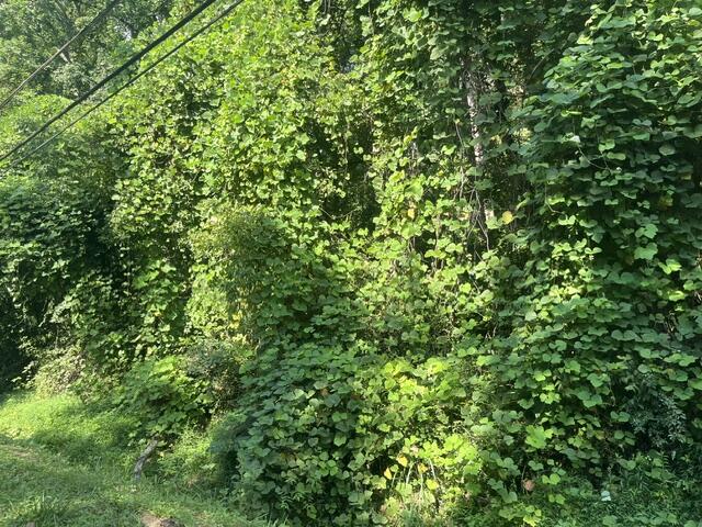8821 Gann Road, Unit 1 Soddy-Daisy, TN 37379 - Photo 3 of 10 IMG_8034