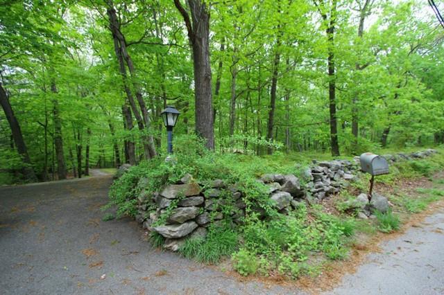95 Old Kingdom Road Wilton, CT 06897 - Photo 1 of 1 a view of a lush green forest