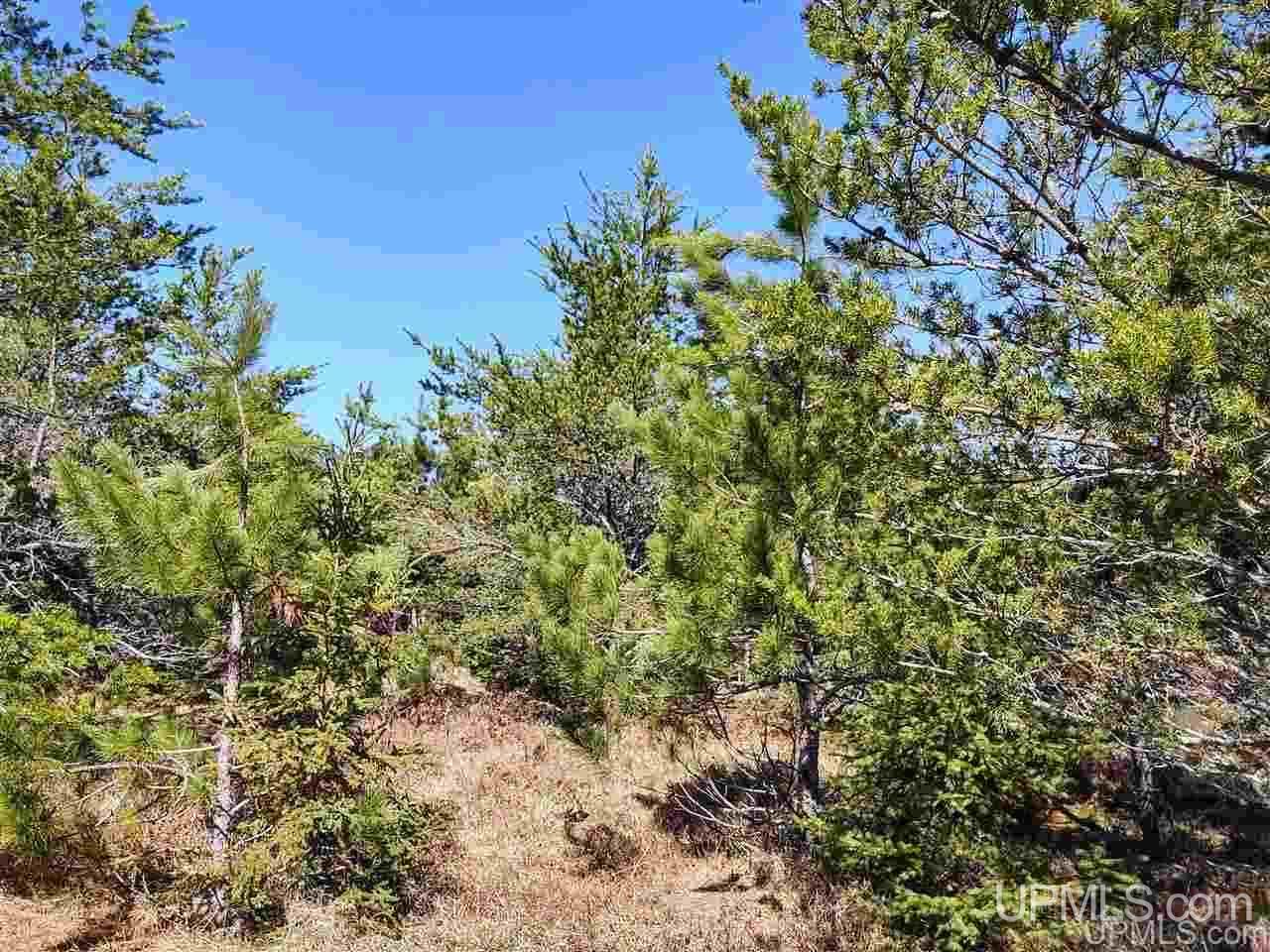 Tbd Forest Hwy 16 Road Iron River, MI 49935 - Photo 32 of 49