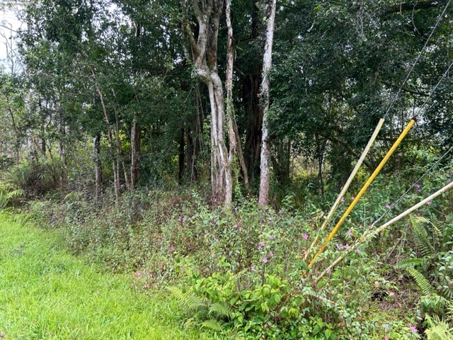296 Pahoa Road Pahoa, HI 96778 - Photo 3 of 7 Gallery Image 3