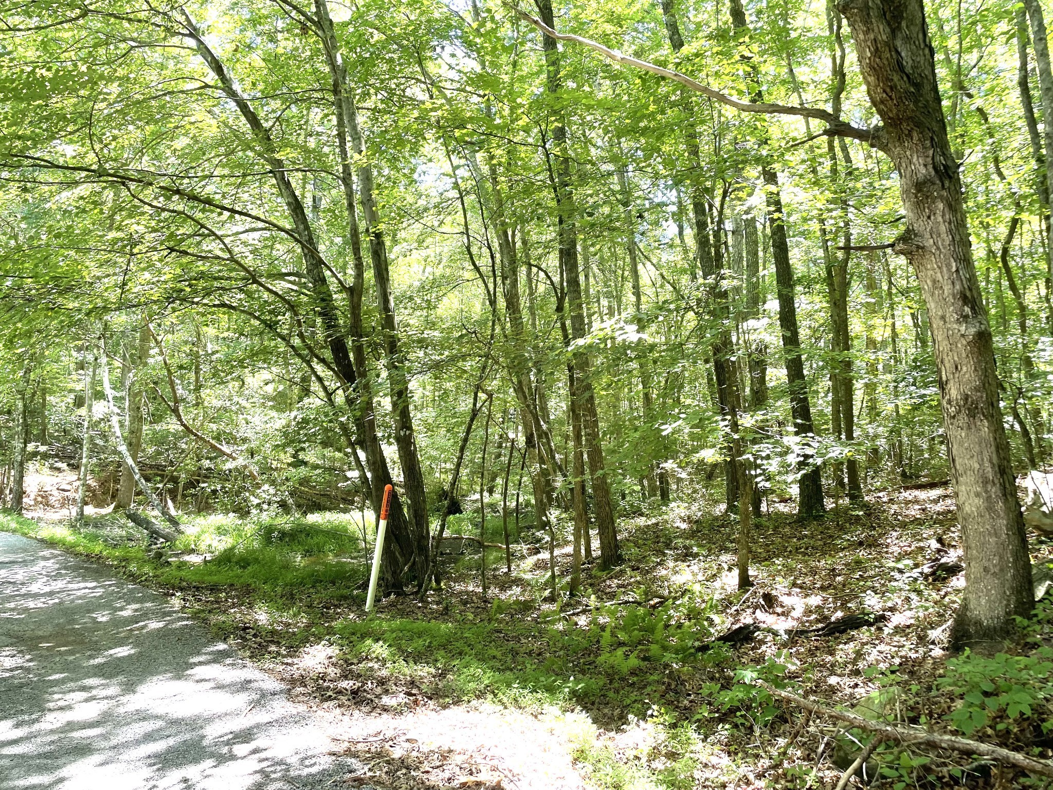 0 Tate Trail Sewanee, TN 37375 - Photo 3 of 5 a backyard of a house with lots of green space