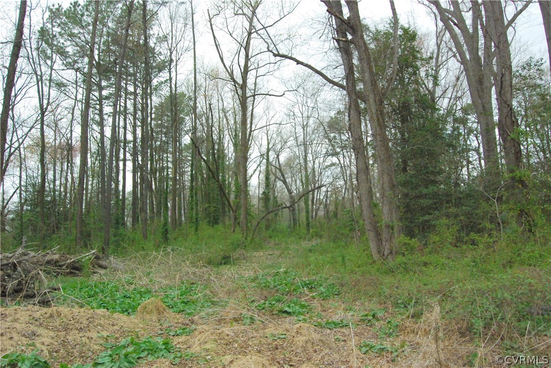 2016 Pemberton Road Henrico, VA 23238 - Photo 4 of 7 a view of a lush green forest