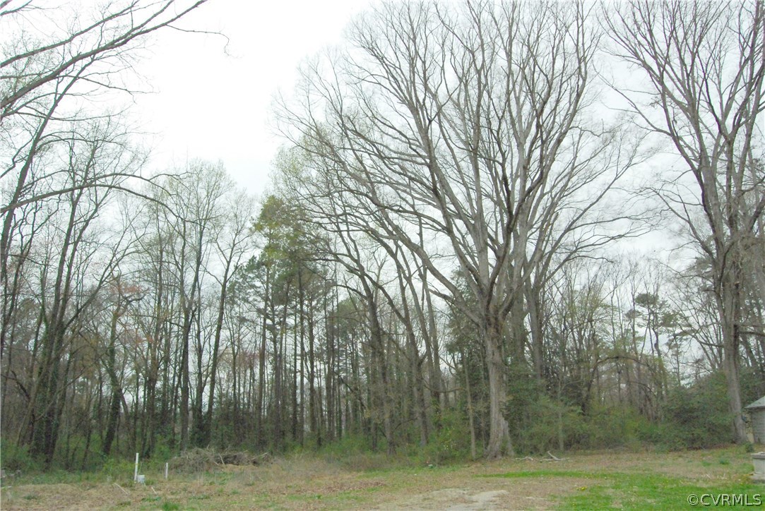 2016 Pemberton Road Henrico, VA 23238 - Photo 6 of 7 a view of a garden with trees