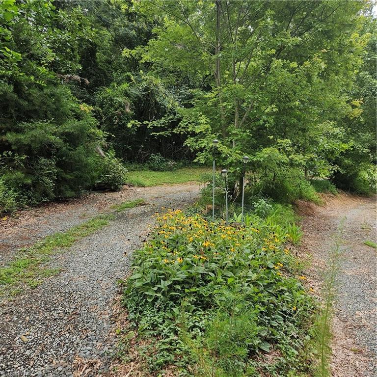 1739 Denny Road King, NC 27021 - Photo 6 of 11 Gallery Image 6