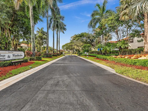 a view of a garden with palm trees