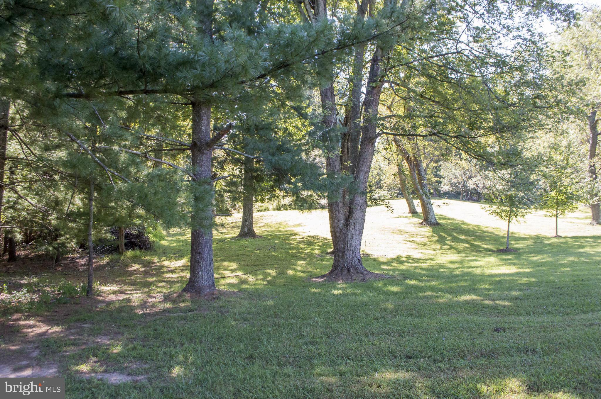 2050 Holland Cliffs Road Huntingtown, MD 20639 - Photo 29 of 29 a view of a trees in a yard